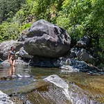Coracao Da Madeira By Homie *