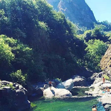 Coracao Da Madeira *