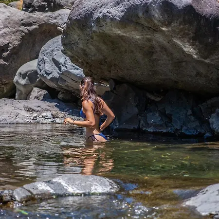 Coração Da Madeira By Homie * Curral Das Freiras
