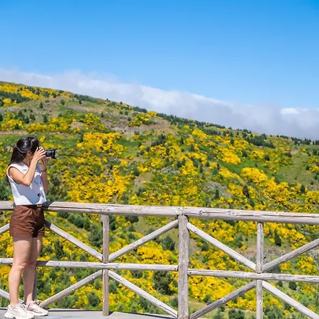 Coracao Da Madeira By Homie Curral das Freiras