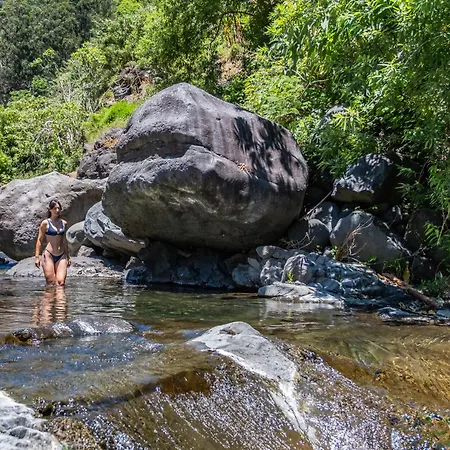 Coracao Da Madeira By Homie *