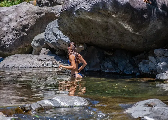 Coracao Da Madeira By Homie * Curral Das Freiras