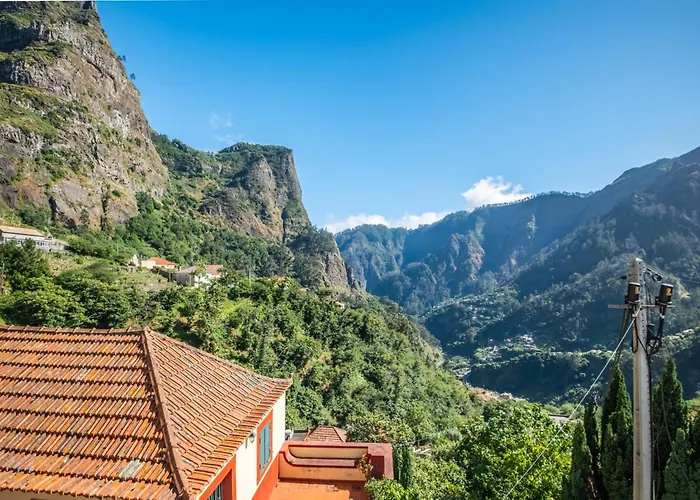 Coracao Da Madeira By Homie