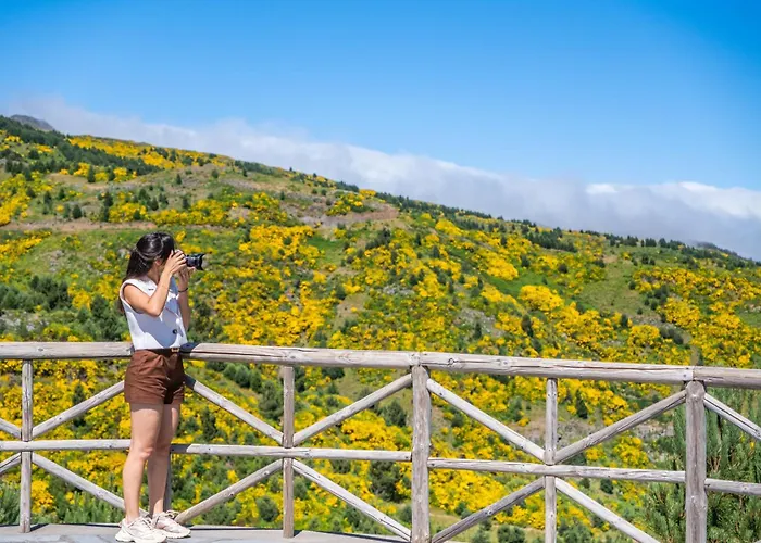 Coracao Da Madeira By Homie Curral Das Freiras