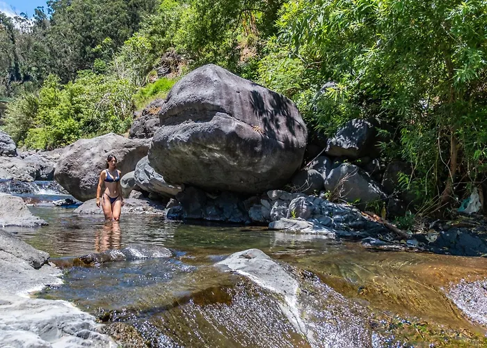 Coracao Da Madeira By Homie *